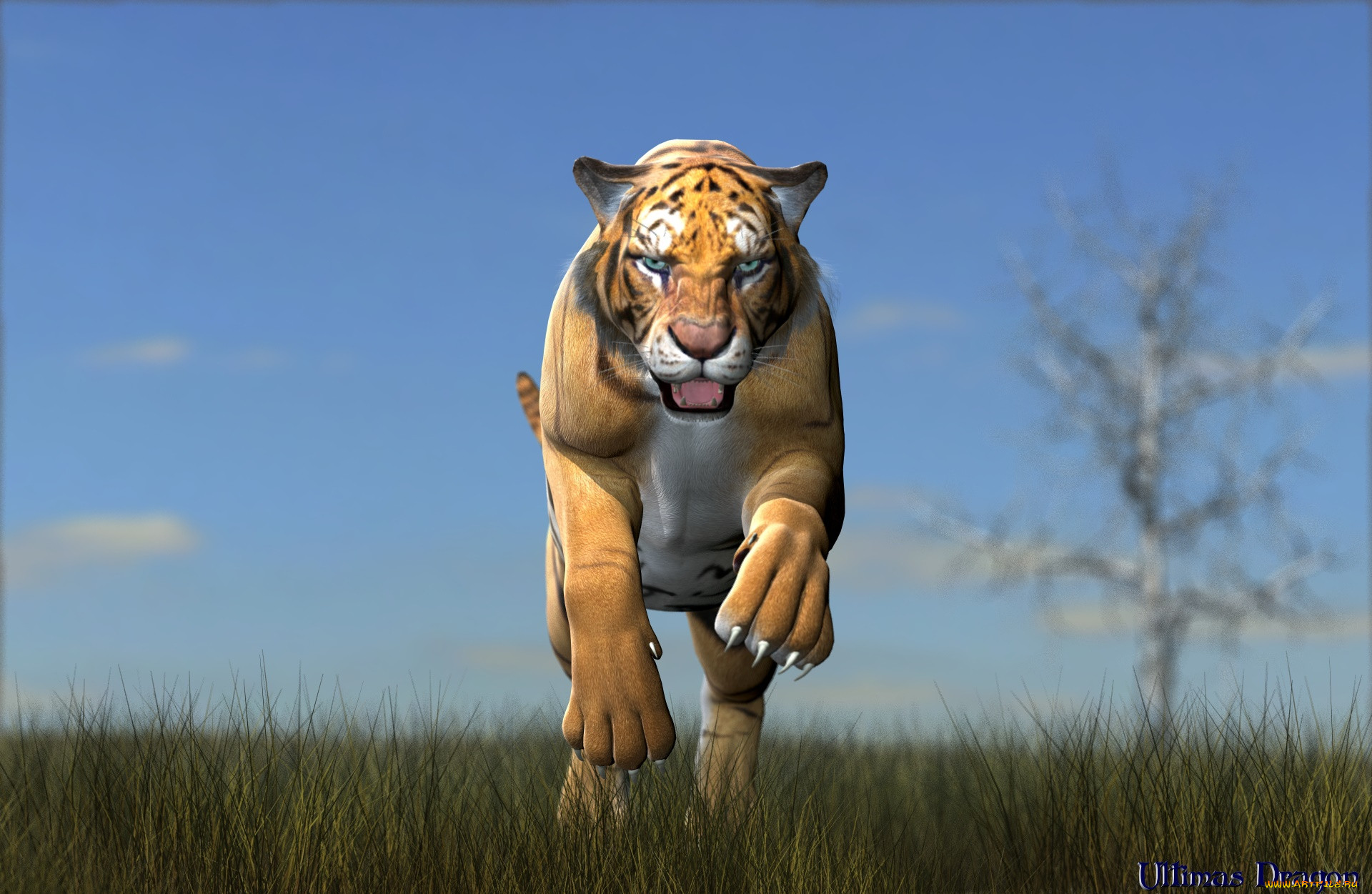3 ,  , animals, , , 